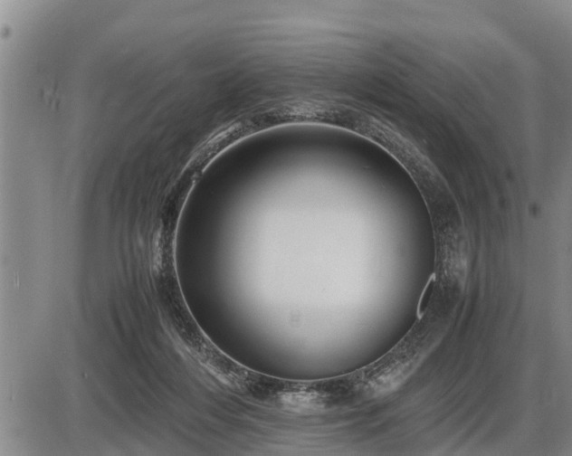 X0000087400216200704271655