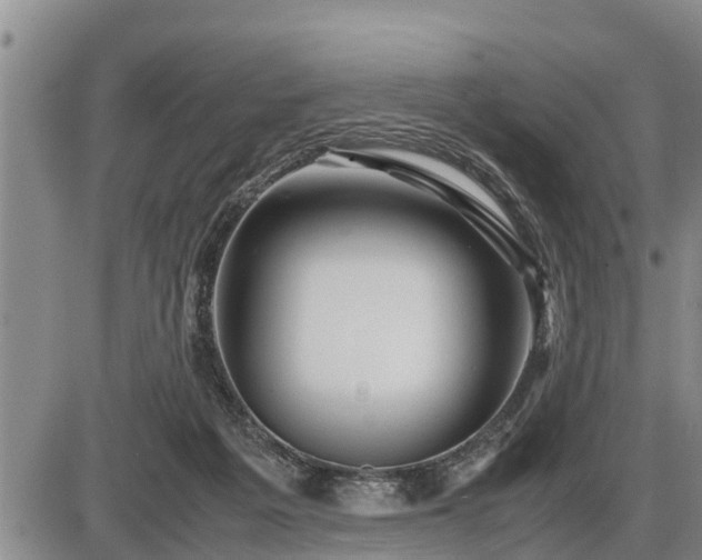 X0000087400217200704271655