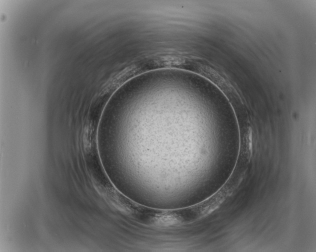 X0000087400218200704271655