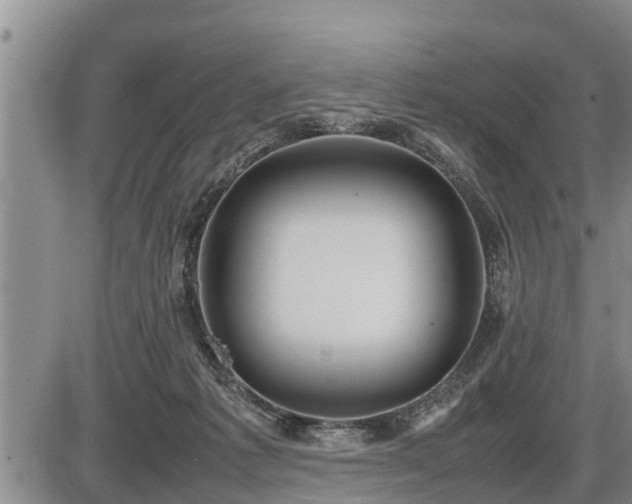 X0000087400221200704271655