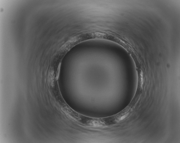 X0000087400223200704271655