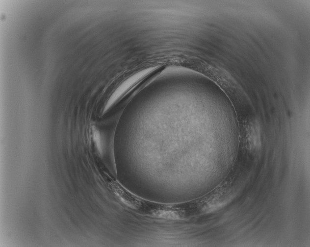 X0000087400224200704271655