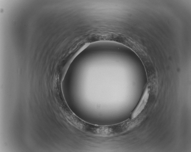 X0000087400225200704271655