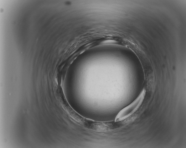 X0000087400229200704271655