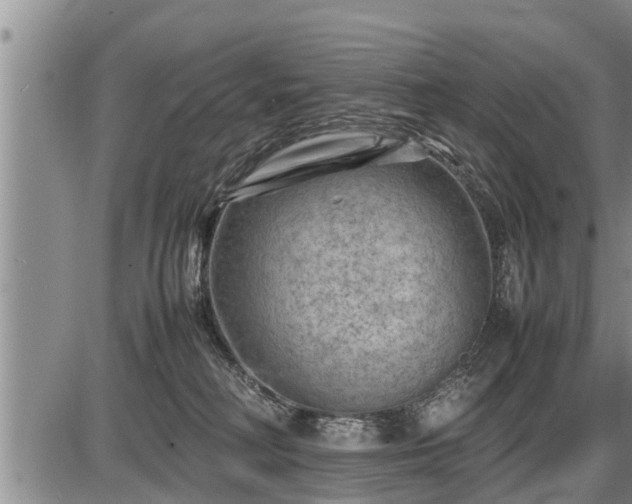 X0000087400230200704271655