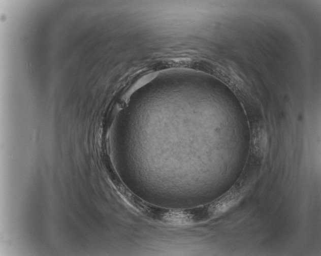 X0000087400231200704271655