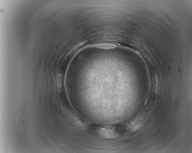 X0000087400232200704271655