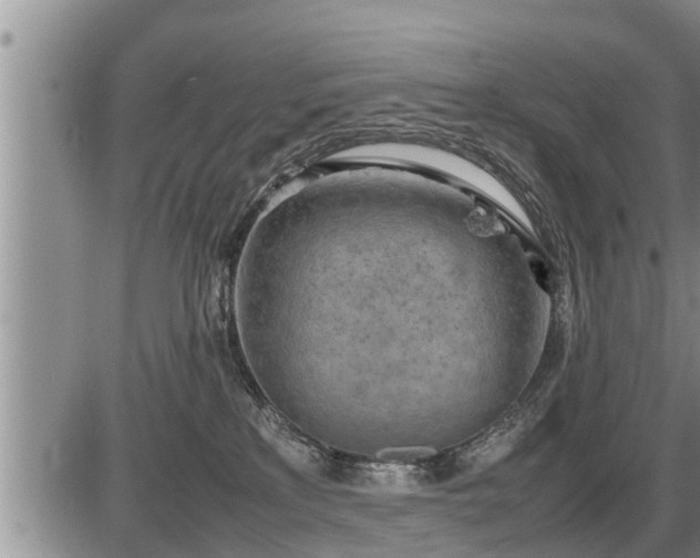 X0000087400233200704271655