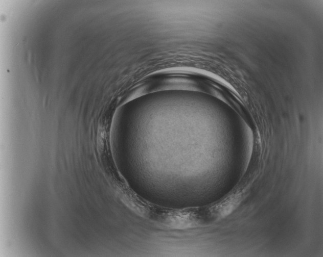 X0000087400235200704271655