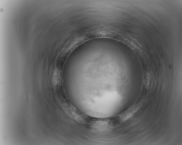 X0000087400236200704271655