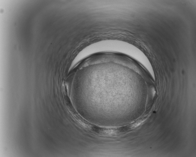 X0000087400237200704271655