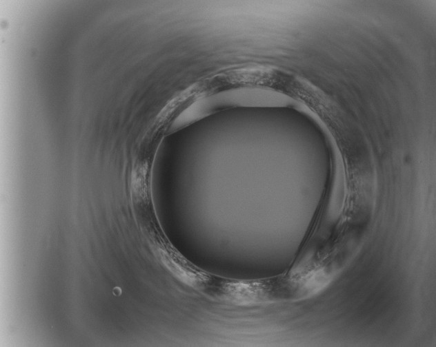 X0000087400239200704271655