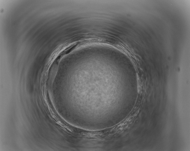 X0000087400241200704271654