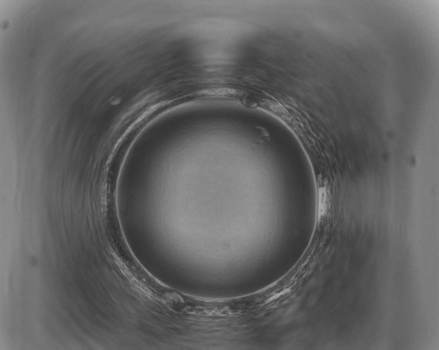 X0000087400243200704271654