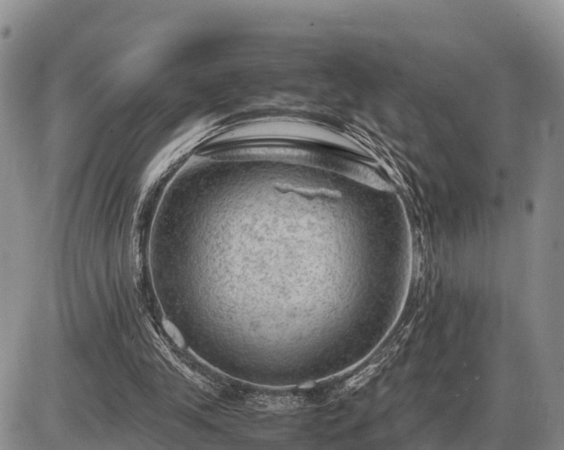 X0000087400245200704271654