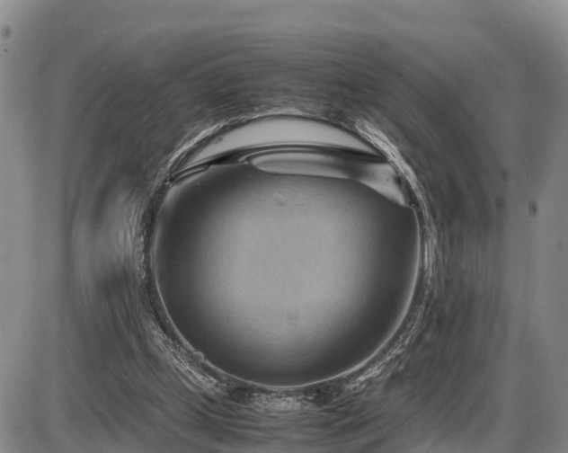 X0000087400249200704271654