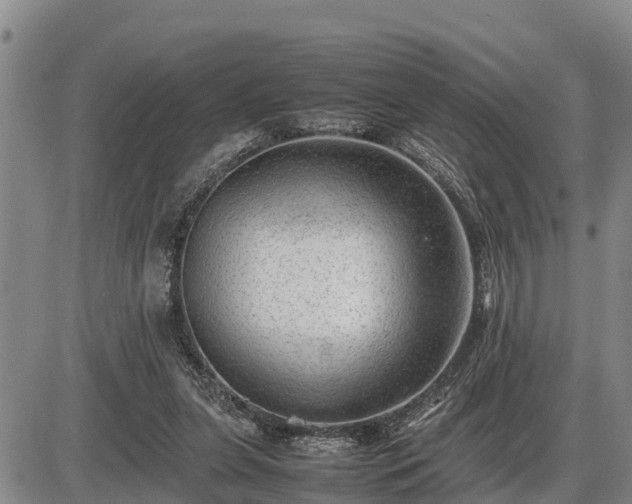 X0000087400255200704271654