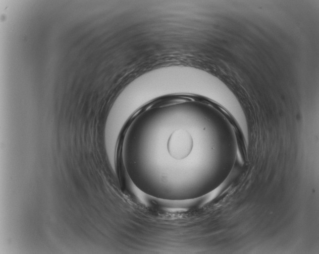 X0000087400276200704271655