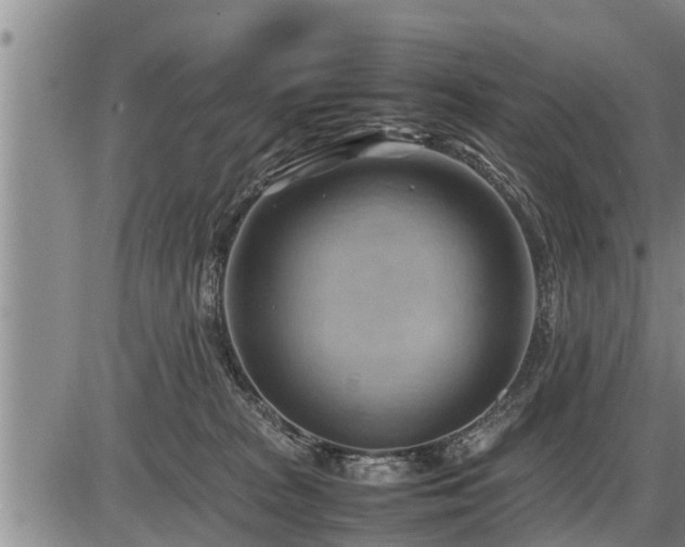 X0000087400277200704271655