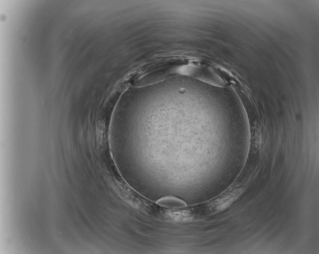 X0000087400283200704271655