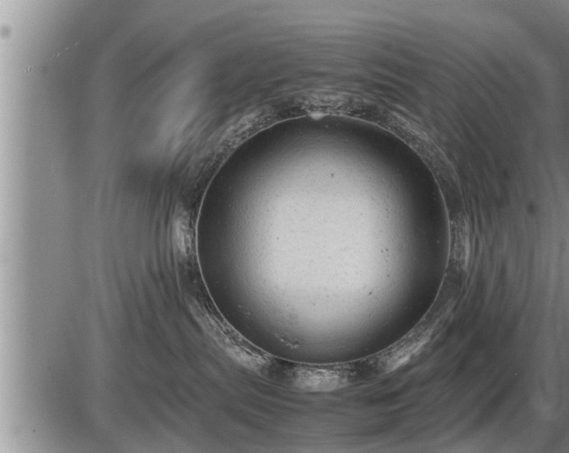 X0000087400287200704271655