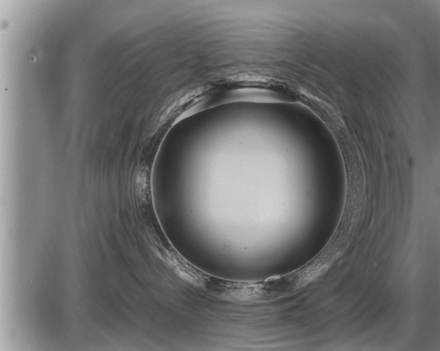 X0000087400288200704271655