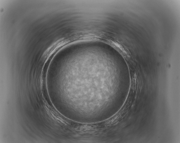 X0000087400290200704271654