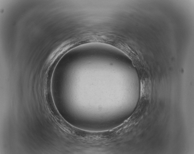 X0000087400291200704271654