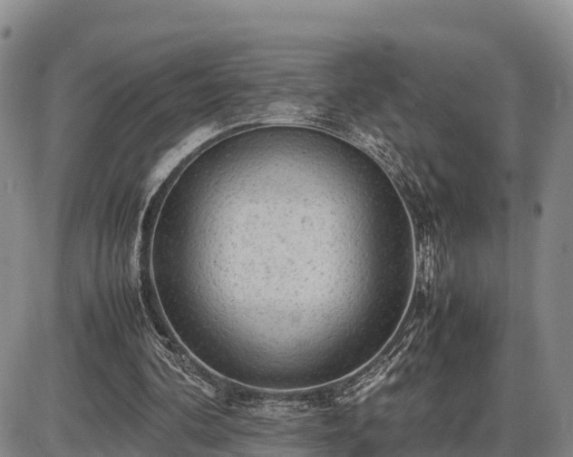 X0000087400292200704271654