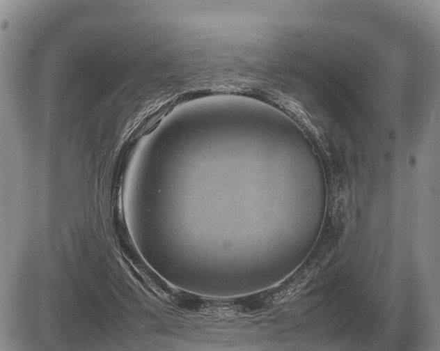 X0000087400299200704271654