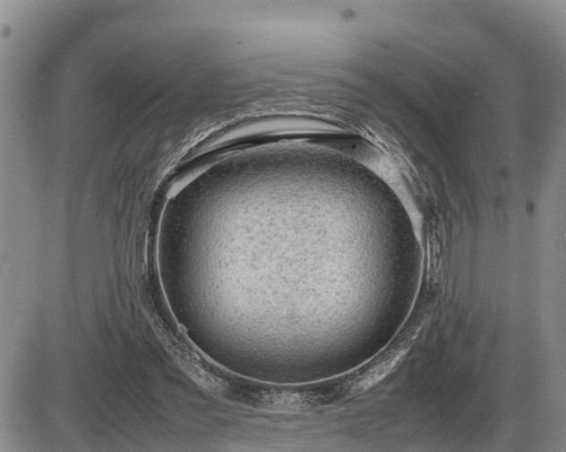 X0000087400301200704271654