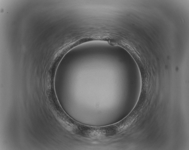 X0000087400303200704271654