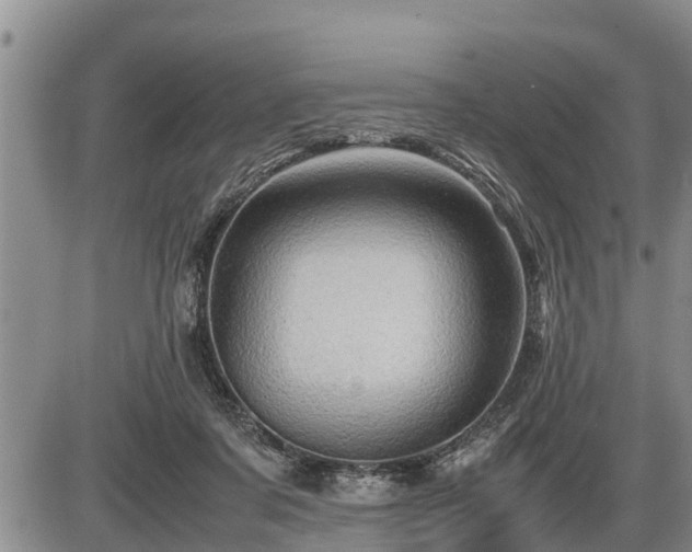X0000087400311200704271654