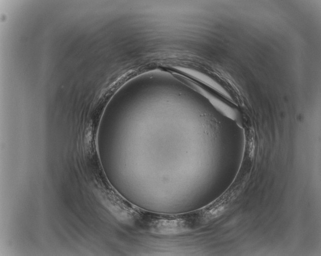 X0000087400314200704271654