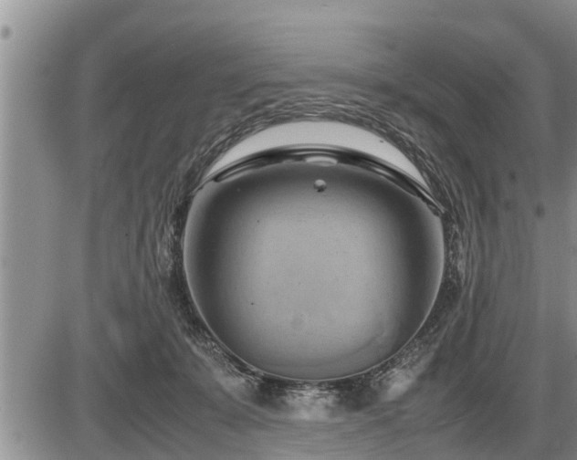 X0000087400319200704271653