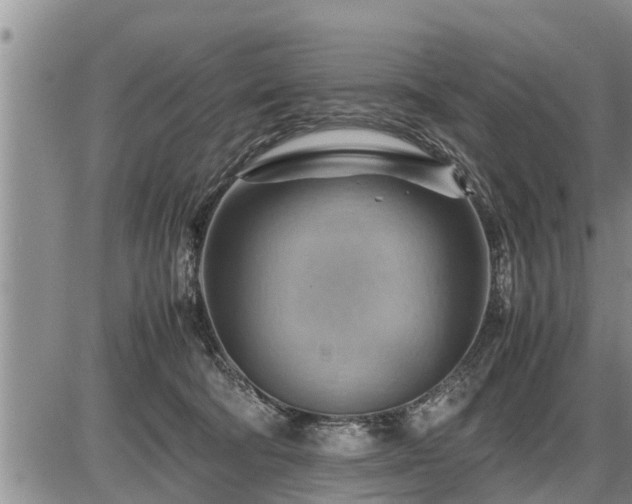 X0000087400322200704271653