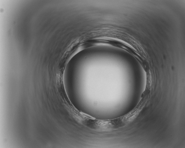 X0000087400333200704271653