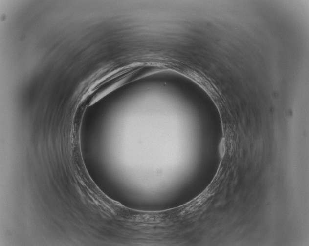 X0000087400338200704271652