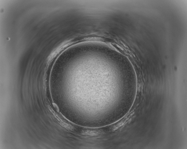 X0000087400341200704271653