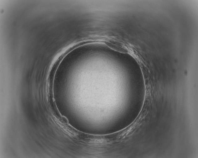 X0000087400342200704271653