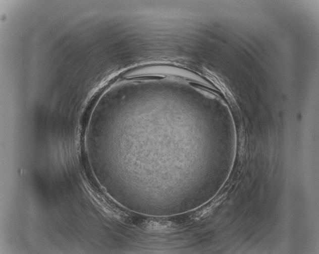 X0000087400346200704271653