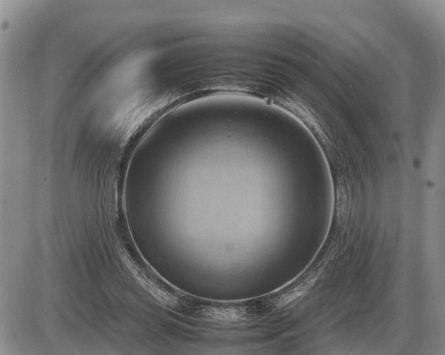 X0000087400349200704271653