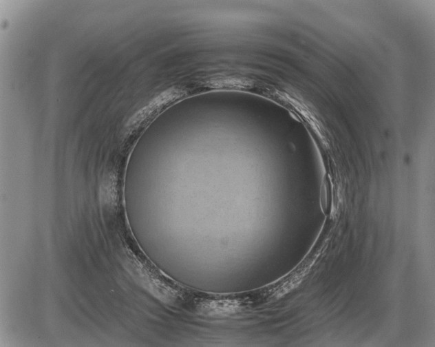 X0000087400353200704271653