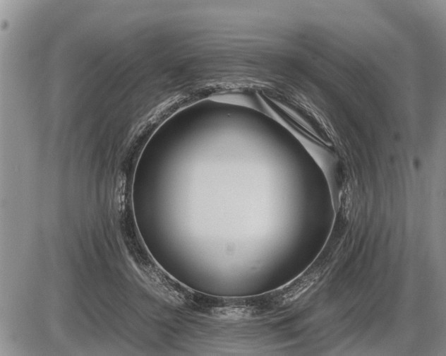 X0000087400356200704271653