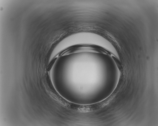 X0000087400362200704271653