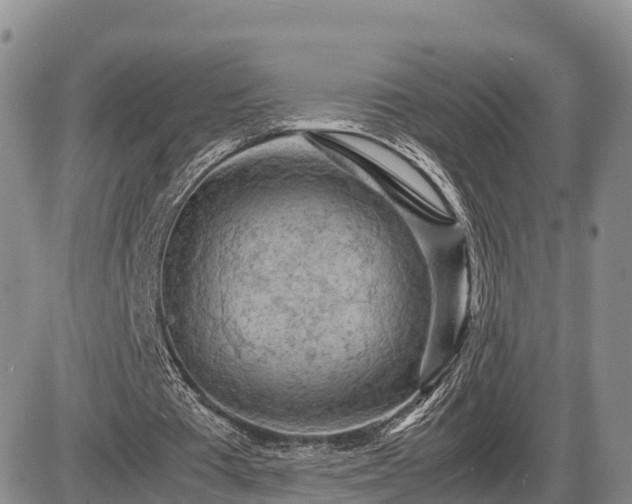X0000087400385200704271652