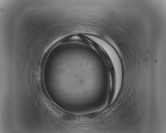 X0000087400387200704271652