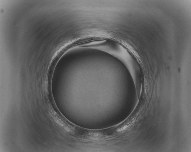 X0000087400391200704271652