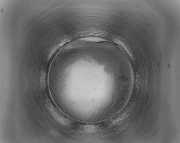 X0000087400394200704271652