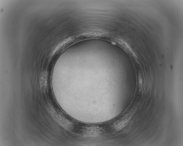 X0000087400396200704271652